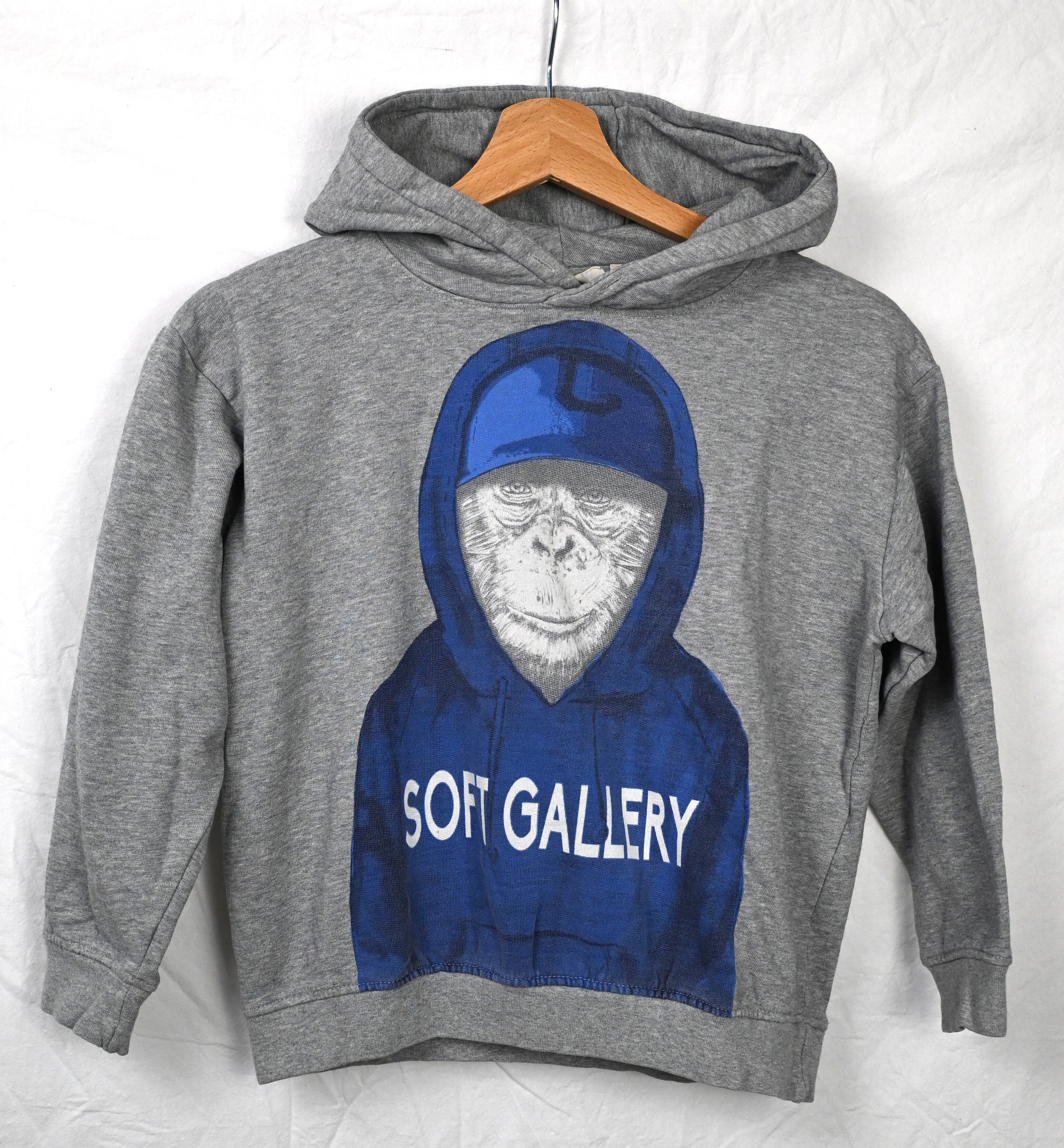 Hoodie, Soft Gallery, 10 jaar