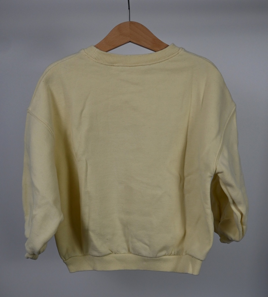 Sweater, Next, 4/5 jaar - Extra 1