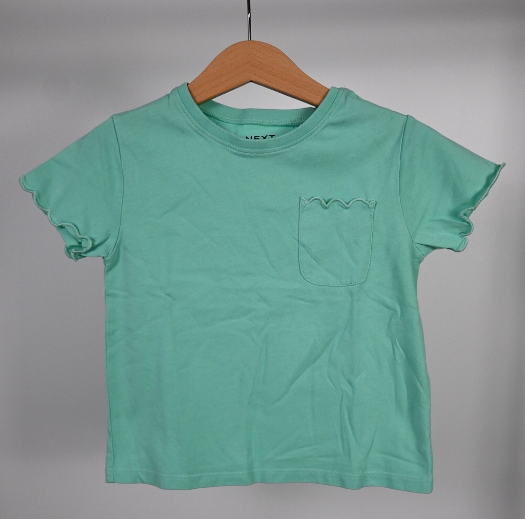 Set van 2 T-shirts, Next, 4 jaar - Extra 1