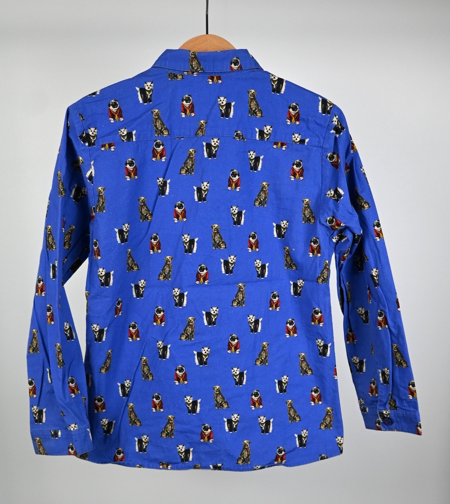 Hemd, Filou & Friends, 7 jaar - 2