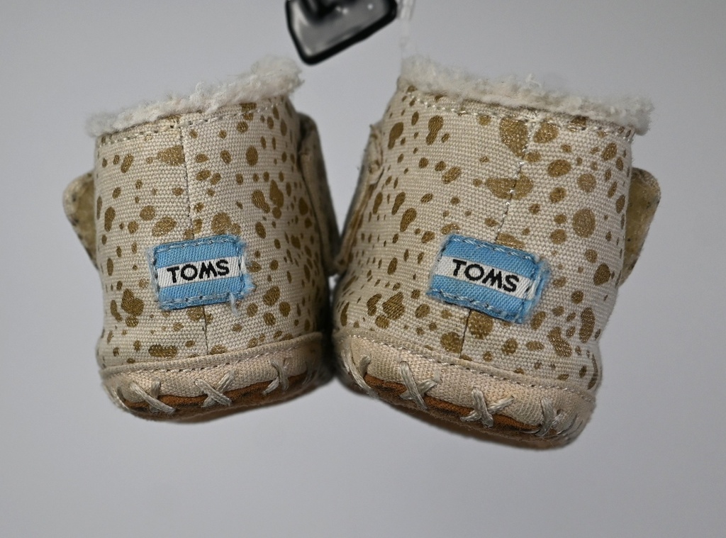 Schoentjes, TOMS, 17,5 -PI - 2