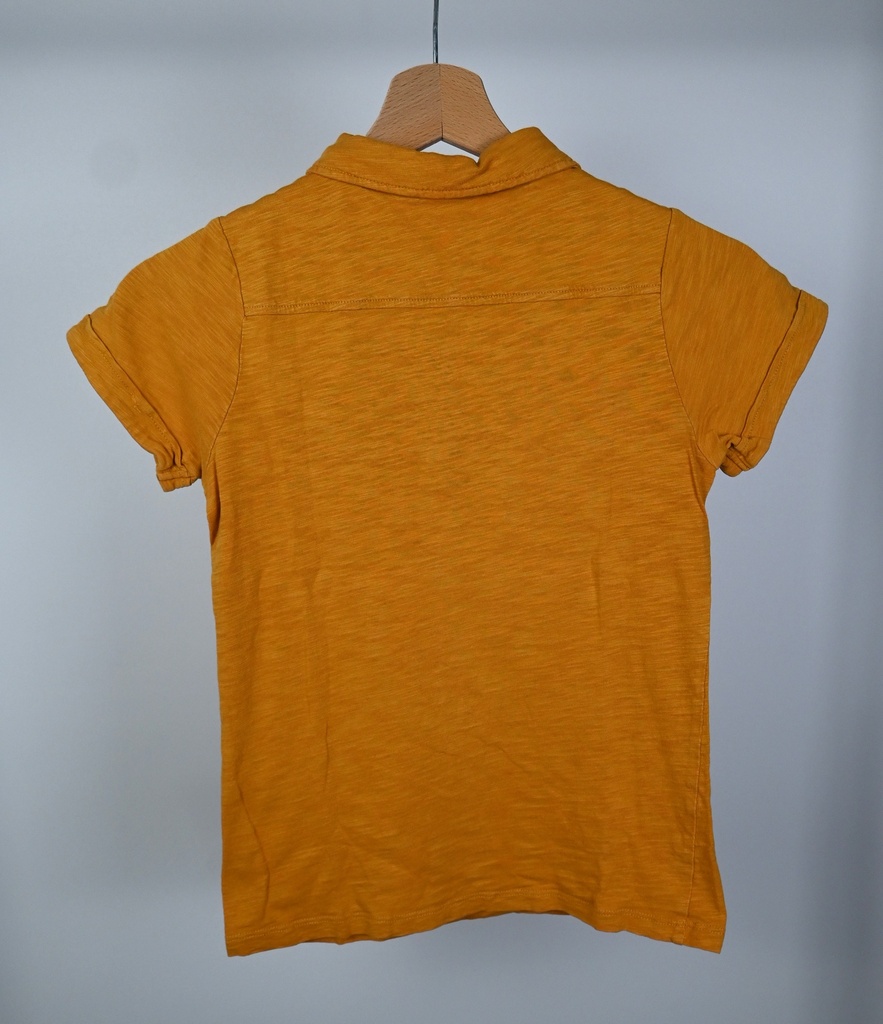 Polo, Fred & Ginger, 12 jaar - 2