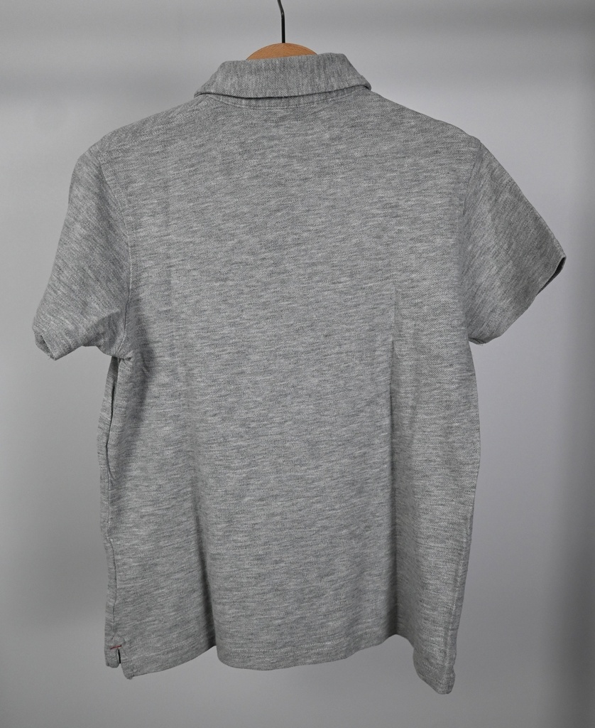 Polo, Hartford, 8 jaar - 2