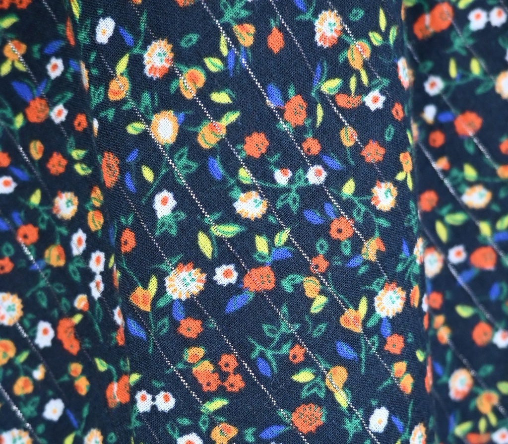 Rok, AO76, 10 jaar - 2