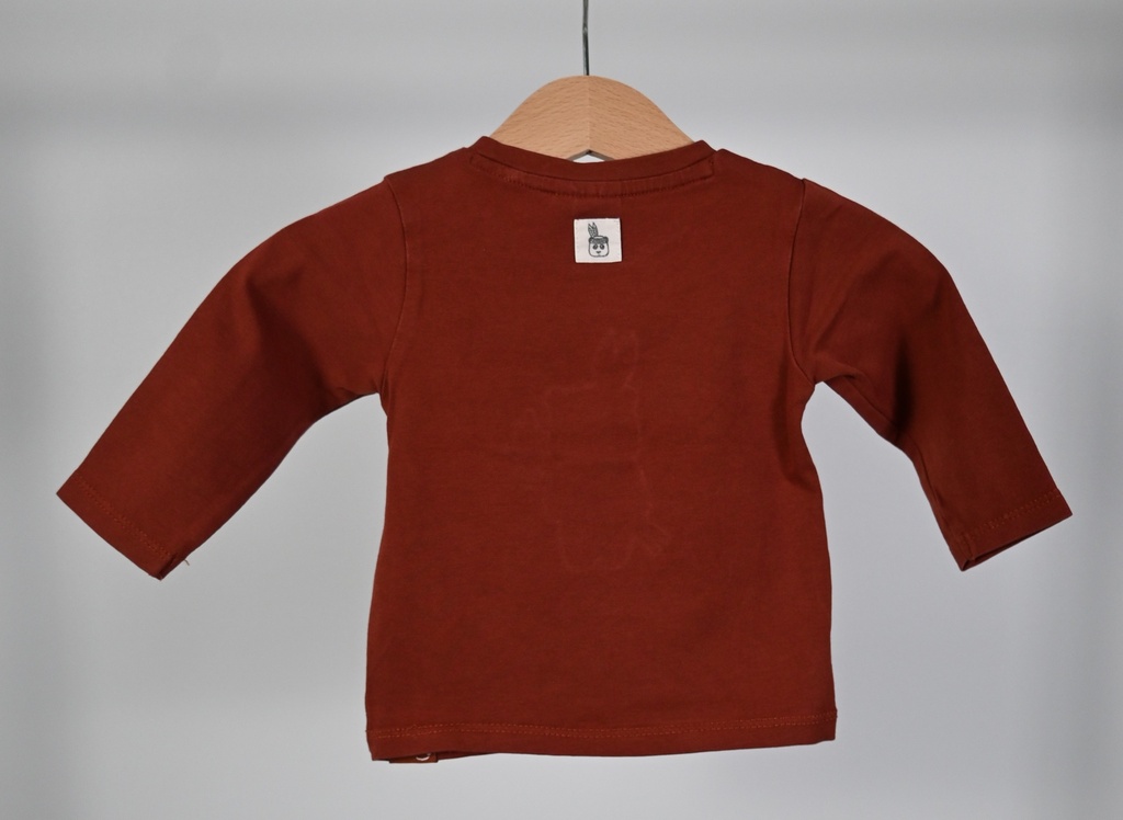Longsleeve T-shirt, babyface, 6 maanden - PI - 2