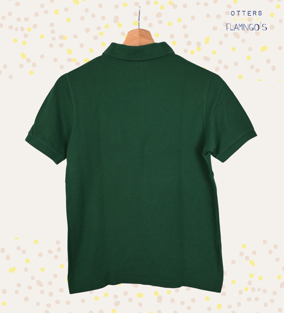 Polo, Lacoste, 14 jaar - 2