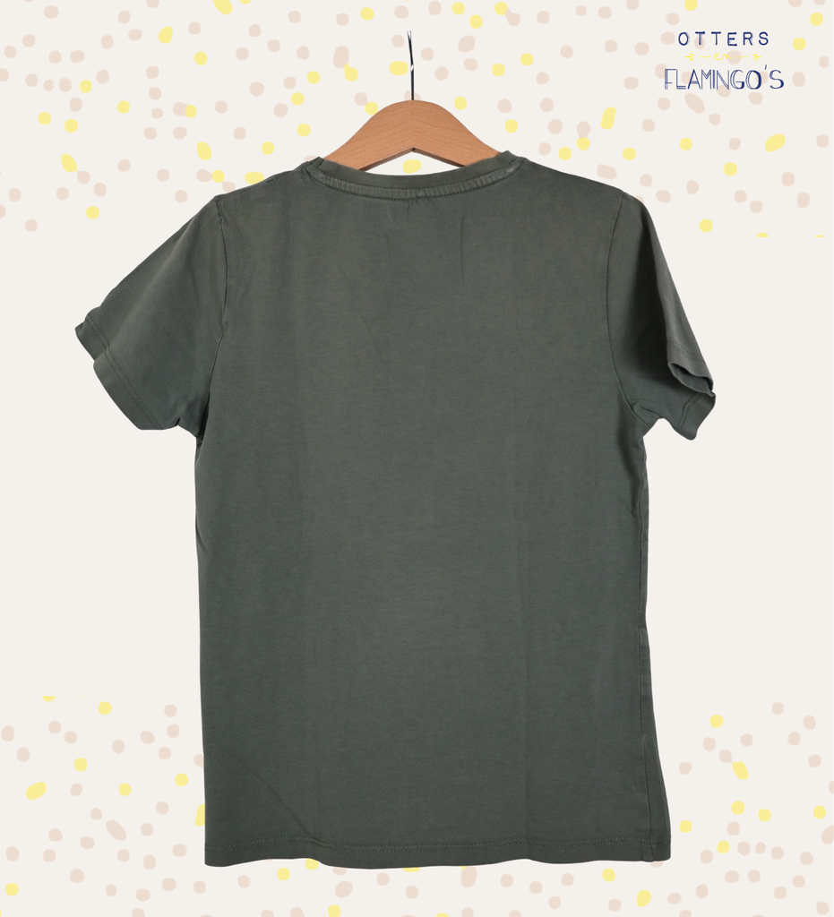 T-shirt, name it, 9/10 jaar - PI - 2