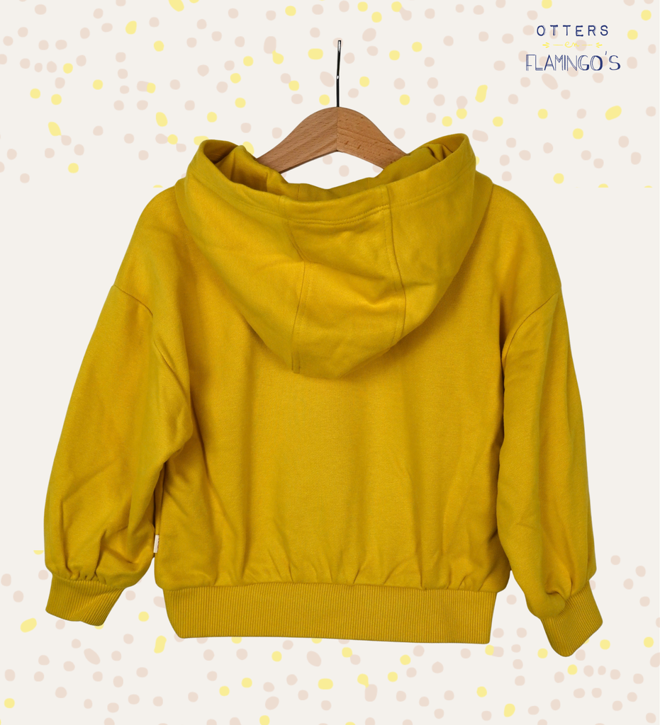 Hoodie, Catimini, 4 jaar - 2