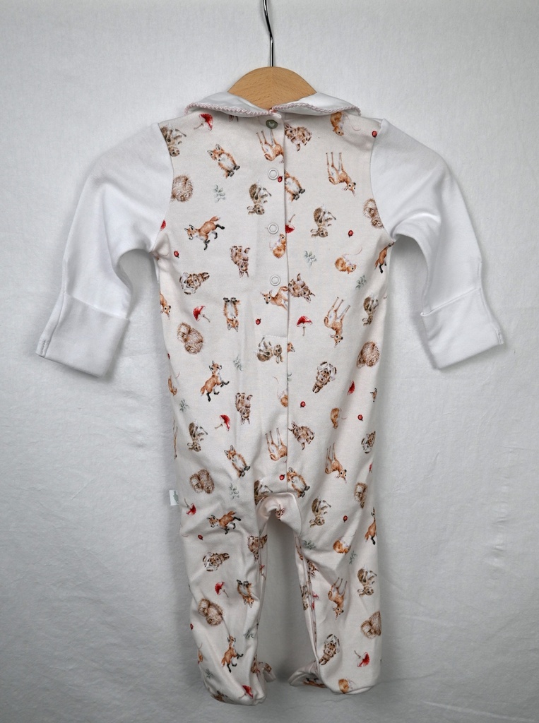 Kruippakje, Little Wren, 3/6 maanden - Extra 1