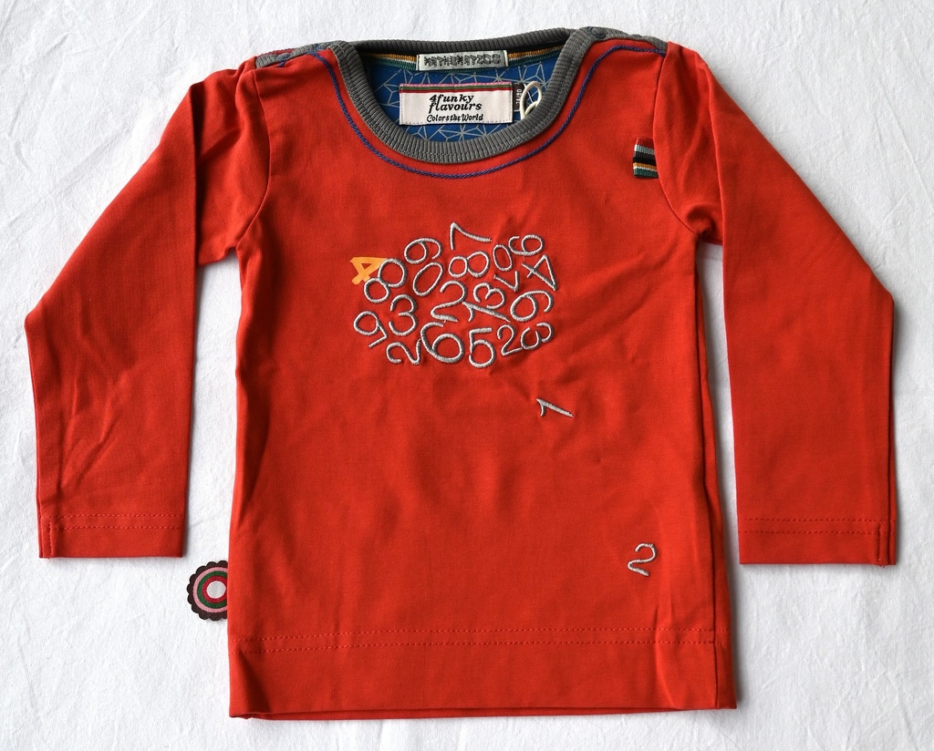 Longsleeve T-shirt, 4 funky flavours, 9/12 maanden