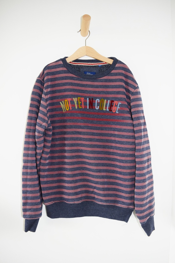 [NTU145] Sweater, Brian and Nephew, 14 jaar