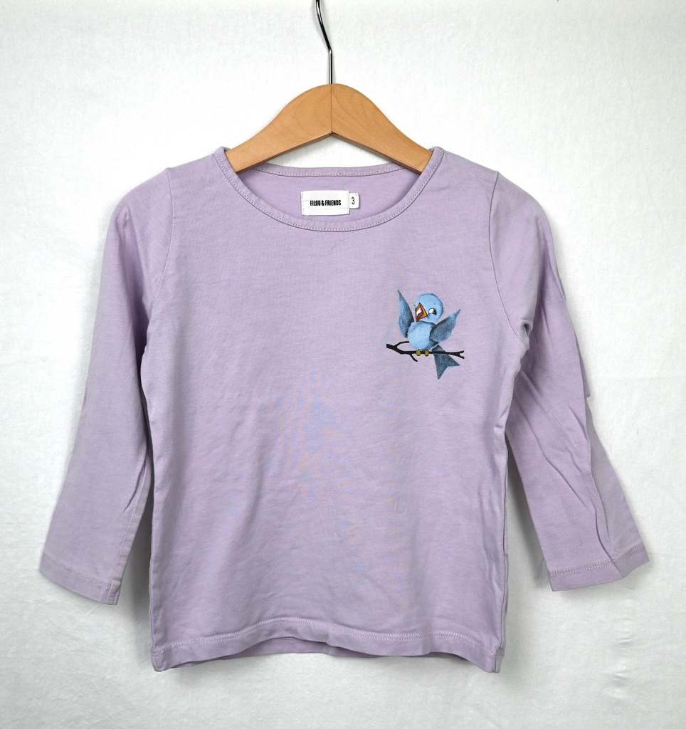 Longsleeve T-shirt, Filou & Friends, 3 jaar