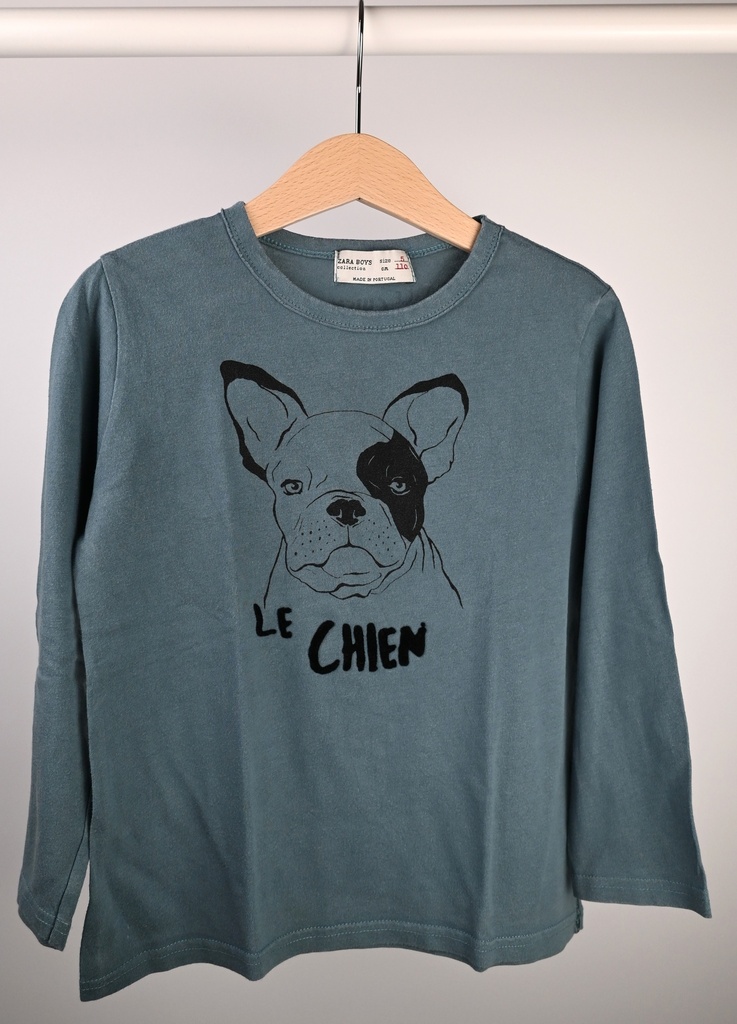 Longsleeve T-shirt, Zara, 5 jaar