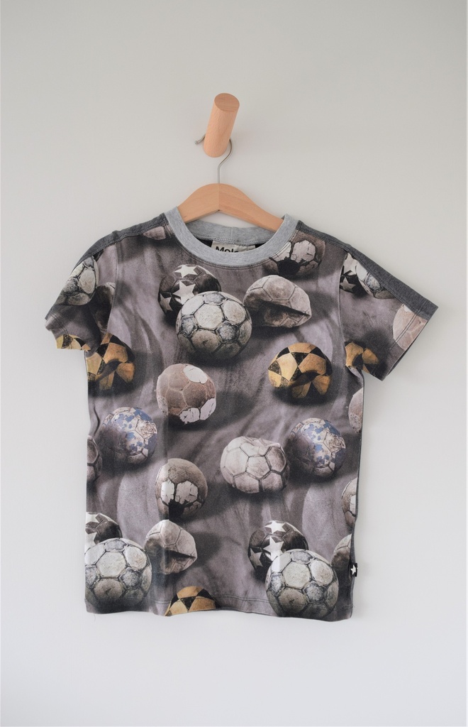 [LVDV004] T-shirt, Molo, 116