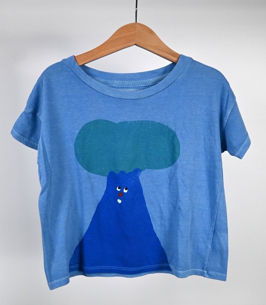 [LBR057] T-shirt, Bobo Choses, 2/3 jaar