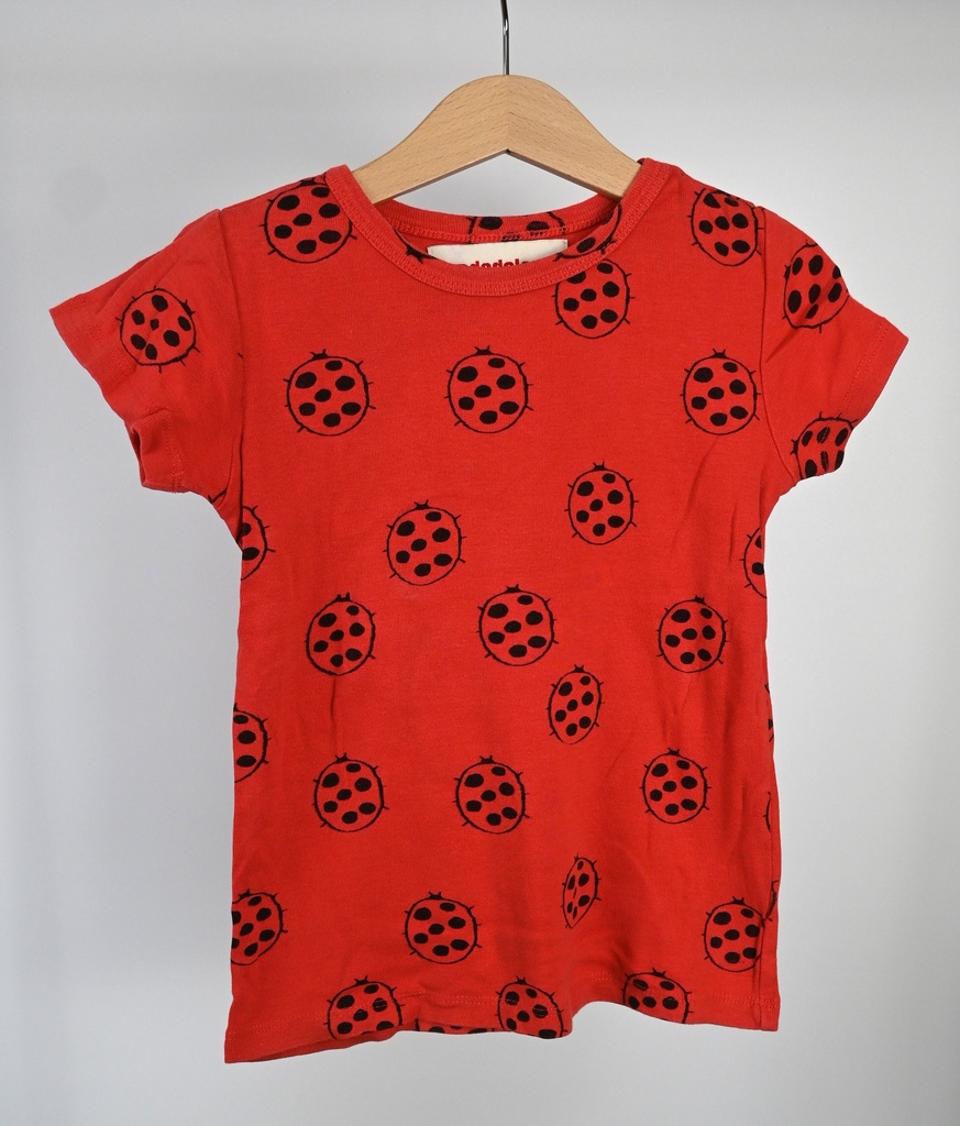 [LBR028] T-shirt, Nadadelazos, 2 - 4 jaar