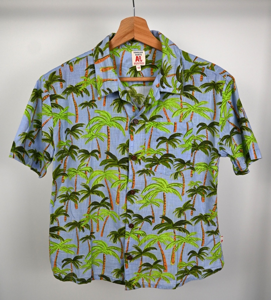 Zomerhemd, AO76, 12 jaar