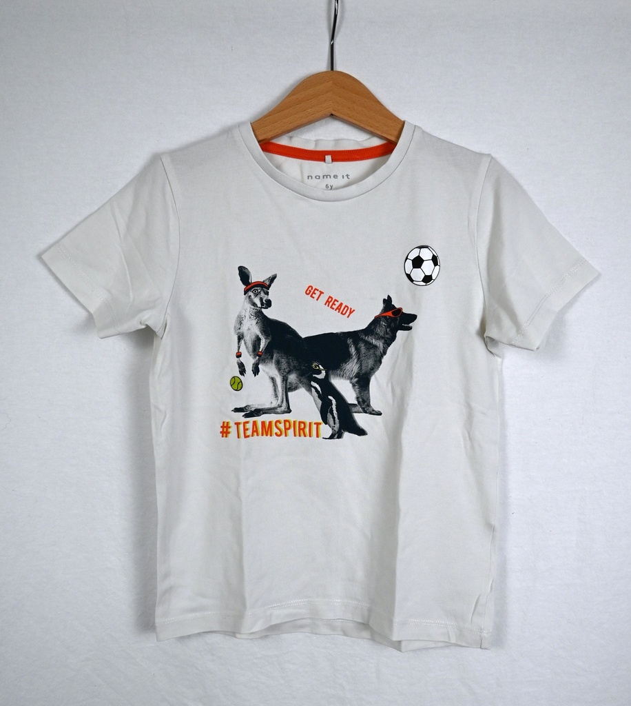 [IBU147] T-shirt, Name It, 6 jaar