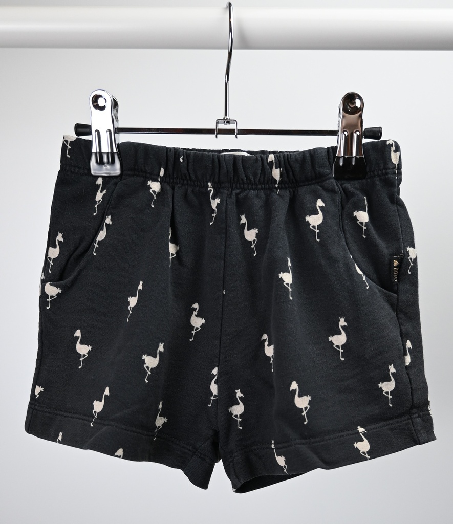 Shortje, Filou & Friends, 4 jaar