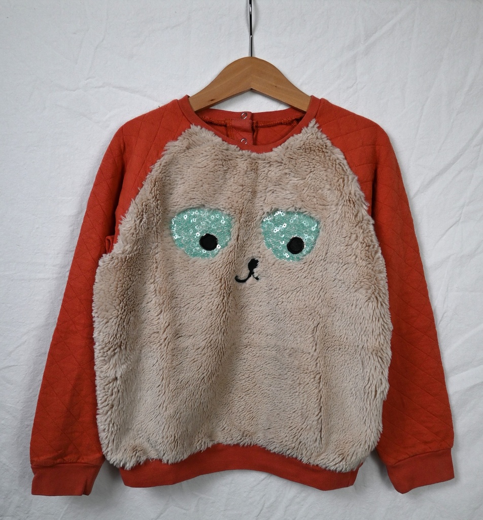 Trui, Filou & Friends, 9 jaar - PI