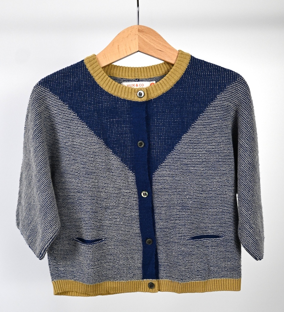 [TPI018] Cardigan, Hilde & co, 6 jaar