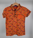 Polo, Someone, 9 jaar