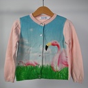 Cardigan, Filou & Friends, 5 jaar