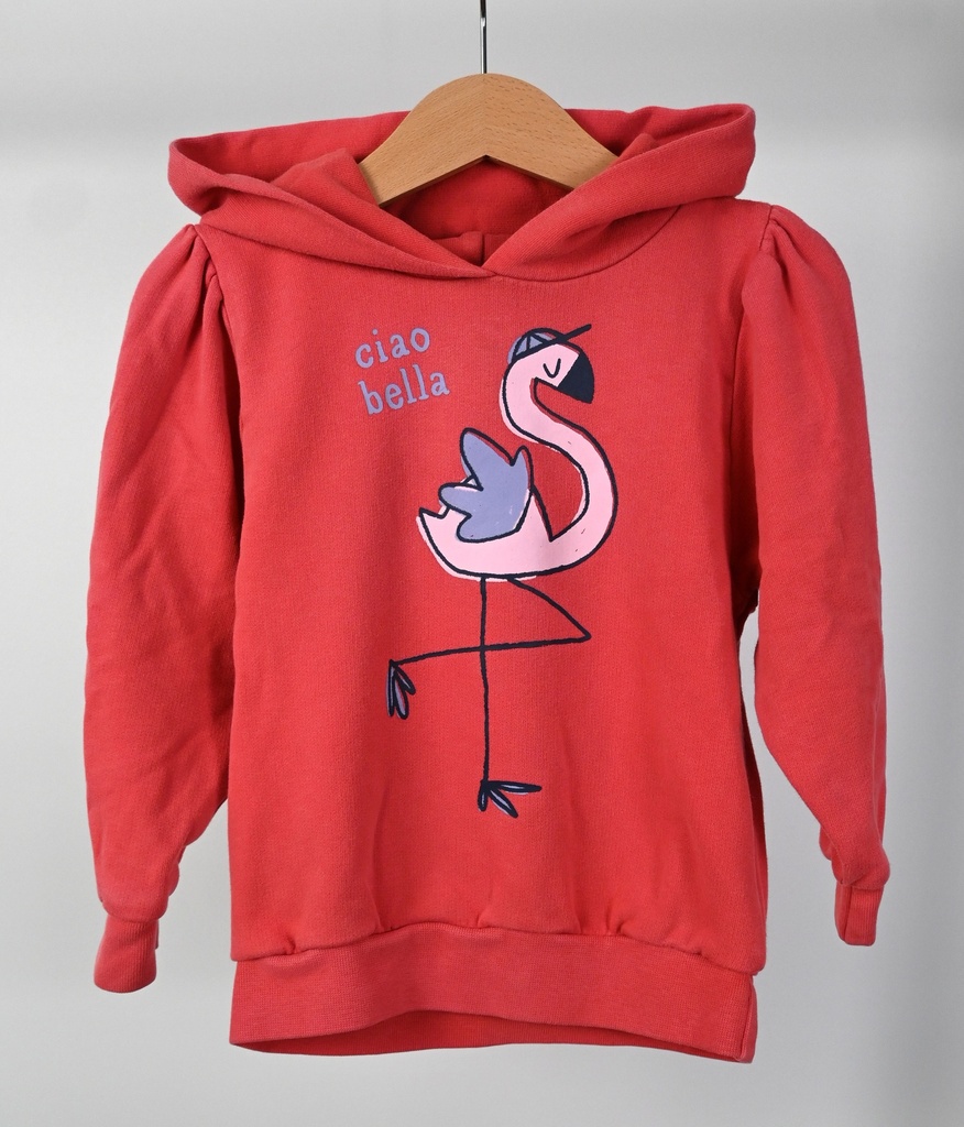 Hoodie, Filou & Friends, 4 jaar - PI
