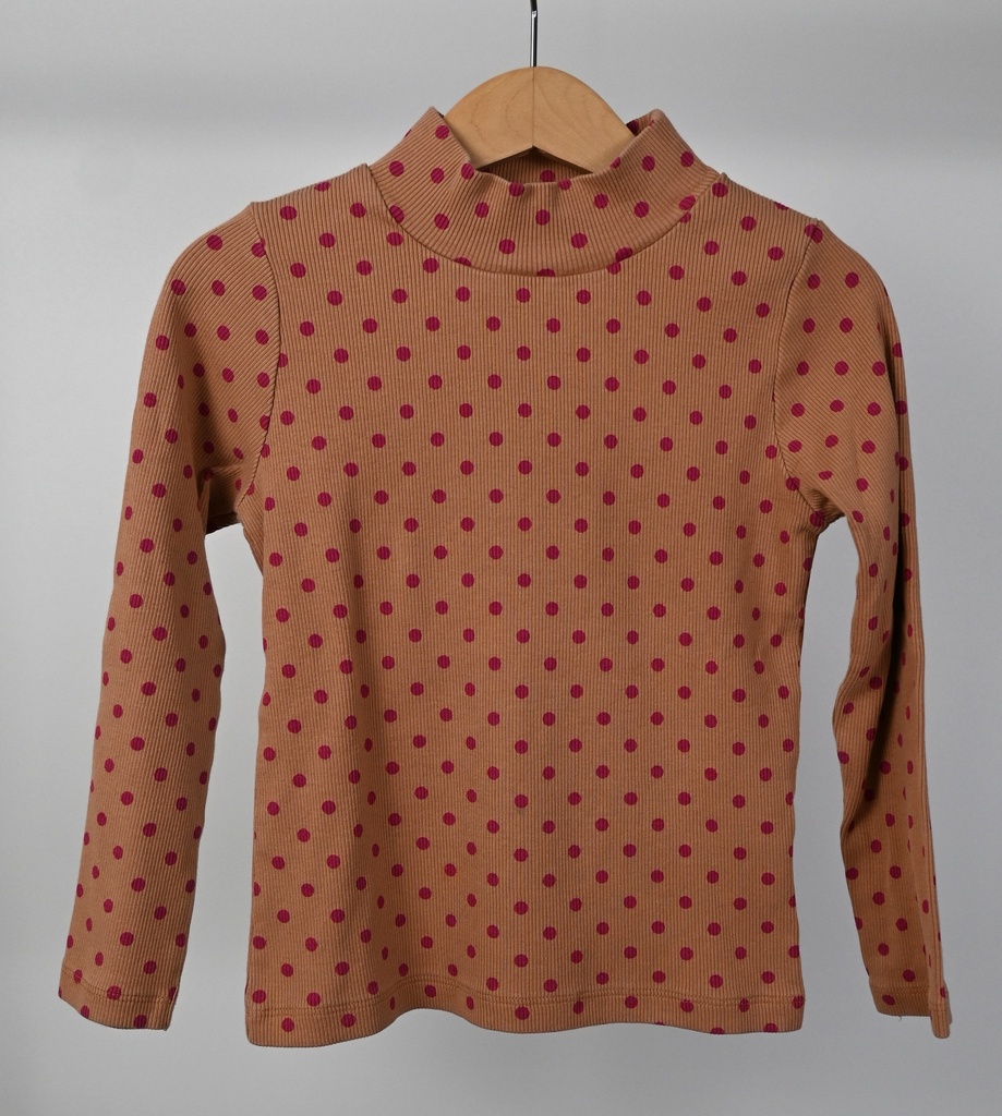 Longsleeve T-shirt, Filou & Friends, 5 jaar