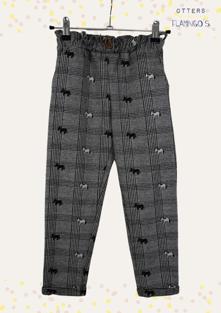 Winterbroek, Milla Star JBC, 8 jaar