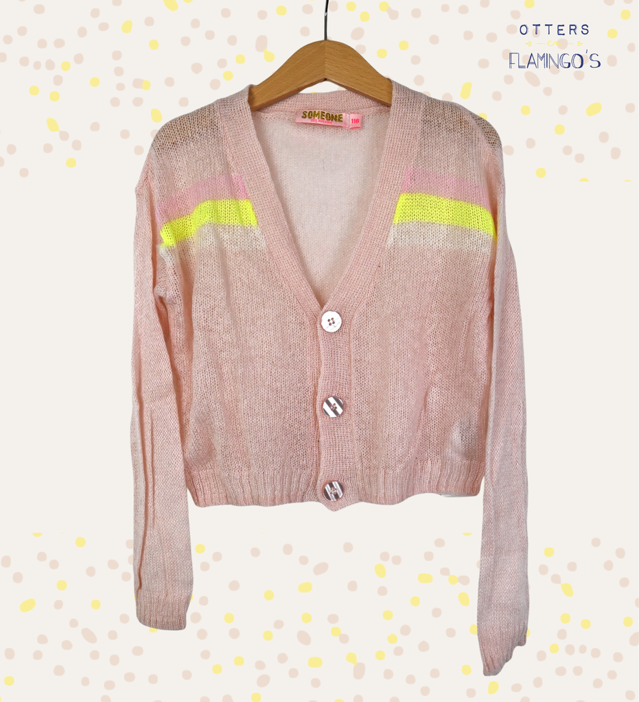 Cardigan, Someone, 6 jaar