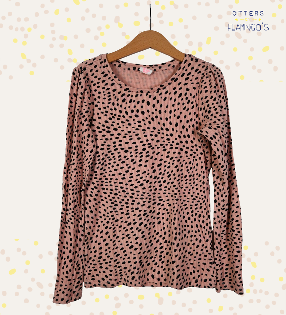 Longsleeve T-shirt, Hema, 9/10 jaar