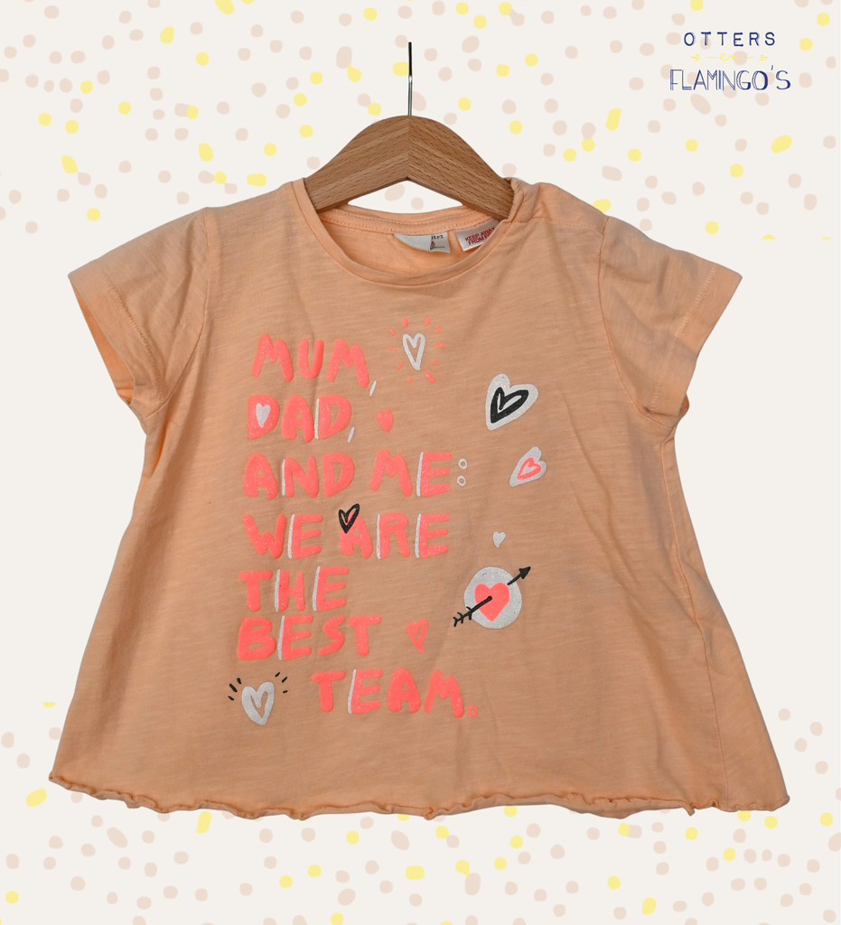 T-shirt, Zara, 3/4 jaar