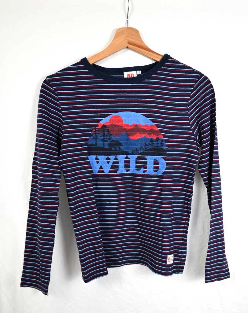 Longsleeve T-shirt, AO76, 12 jaar
