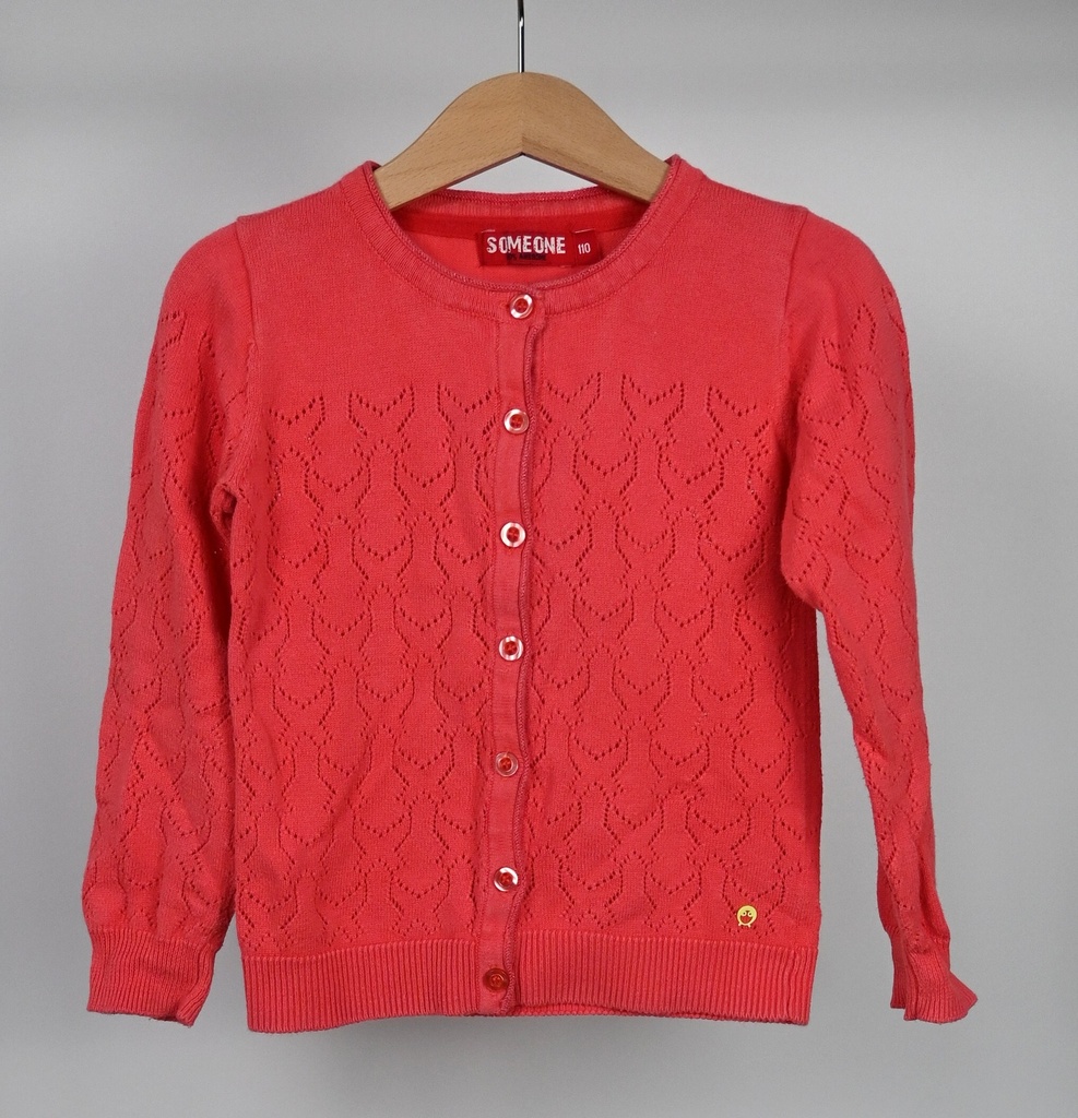 Cardigan, Someone, 5 jaar